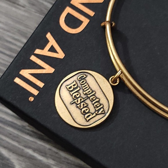 Alex and Ani Completely Blessed Charm Bracelet Positive Faith Gratitude - Picture 5 of 10